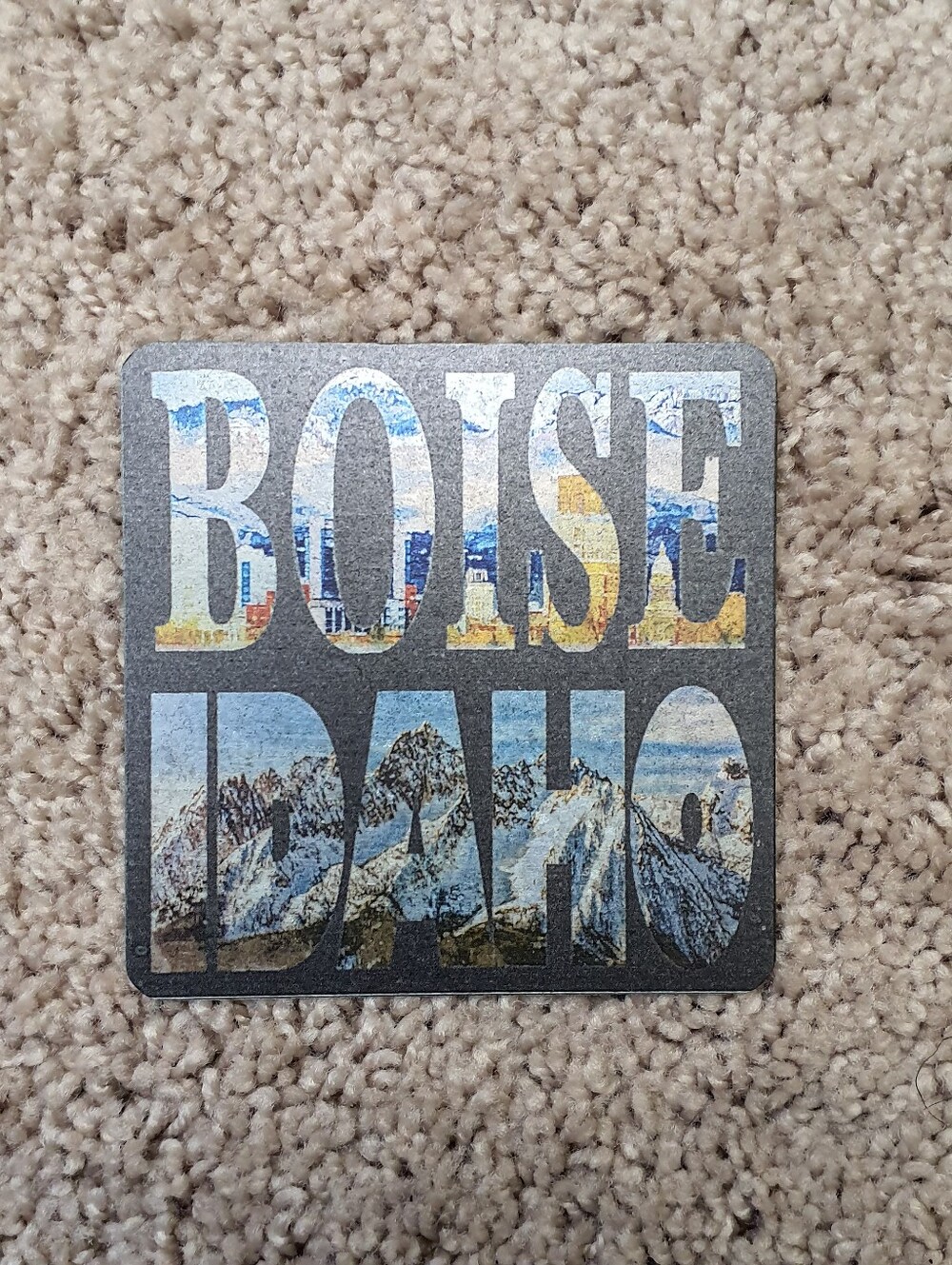 Metal COASTER Boise Idaho Souvenir With Padding At Bottom To Avoid Scratches